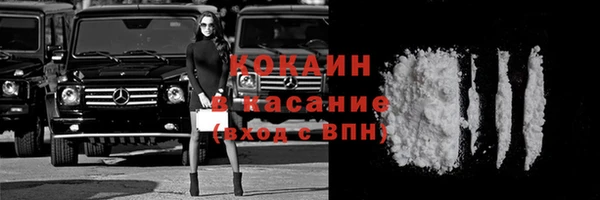 индика Аркадак