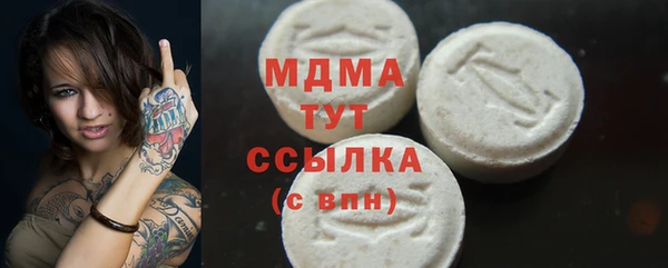 индика Аркадак