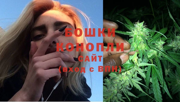 индика Аркадак
