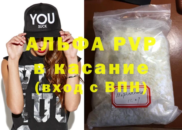 индика Аркадак