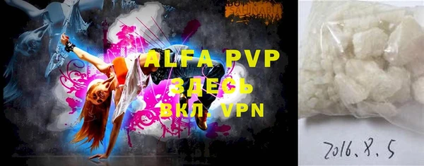 индика Аркадак